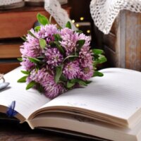 Mariage à thème littéraire, comment en organiser un