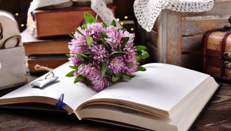 Mariage à thème littéraire, comment en organiser un